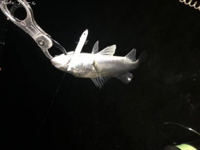 �����Х�