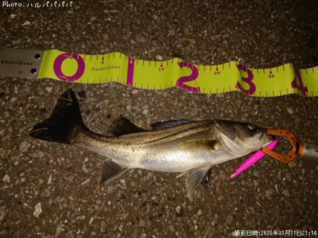 �����Х�