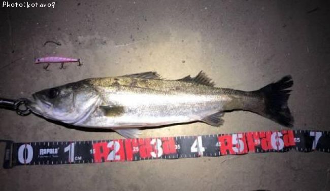 �����Х�