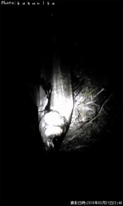 �����Х�