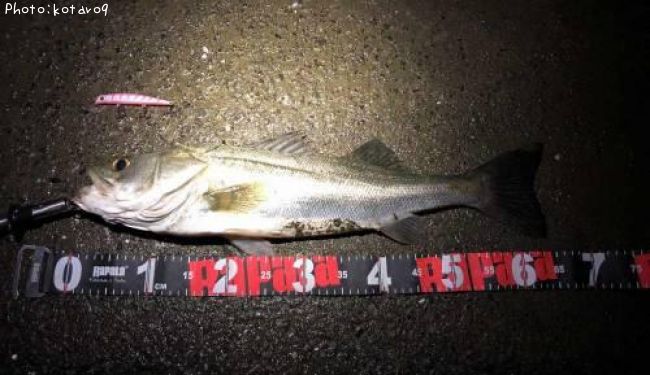 �����Х�