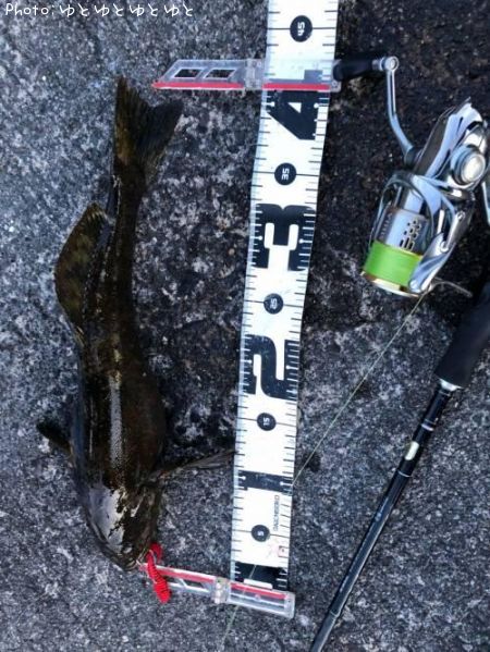 �����ʥ�