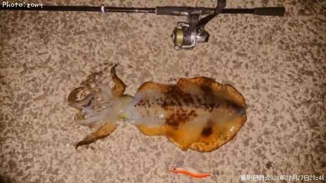 �����ꥤ��