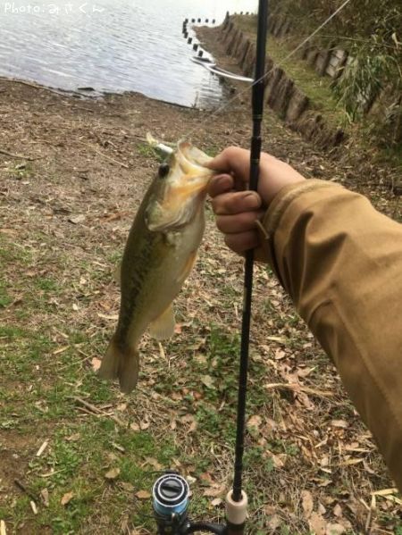 �֥�å��Х�