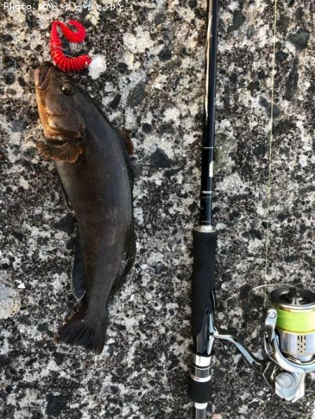 �����ʥ�