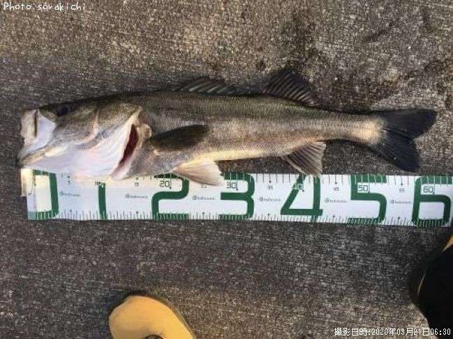 �����Х�