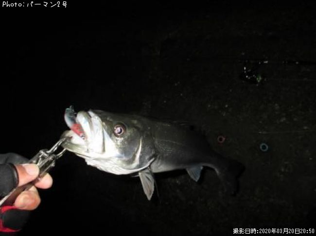 �����Х�