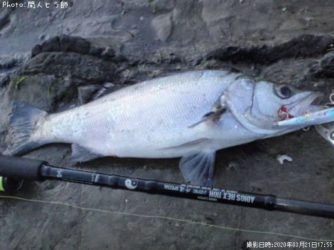 �ҥ饹����