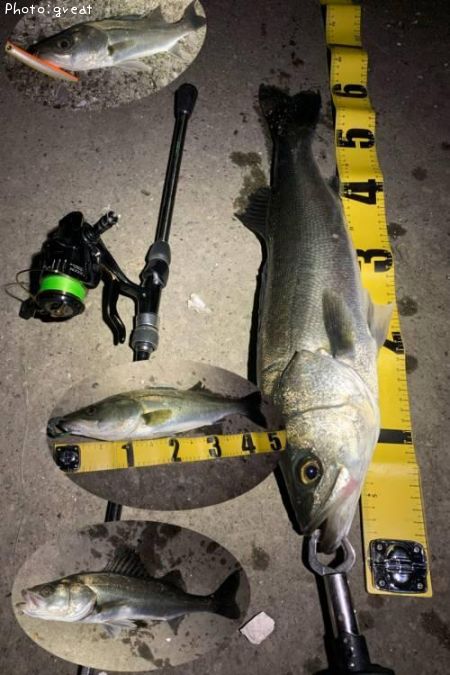 �����Х�