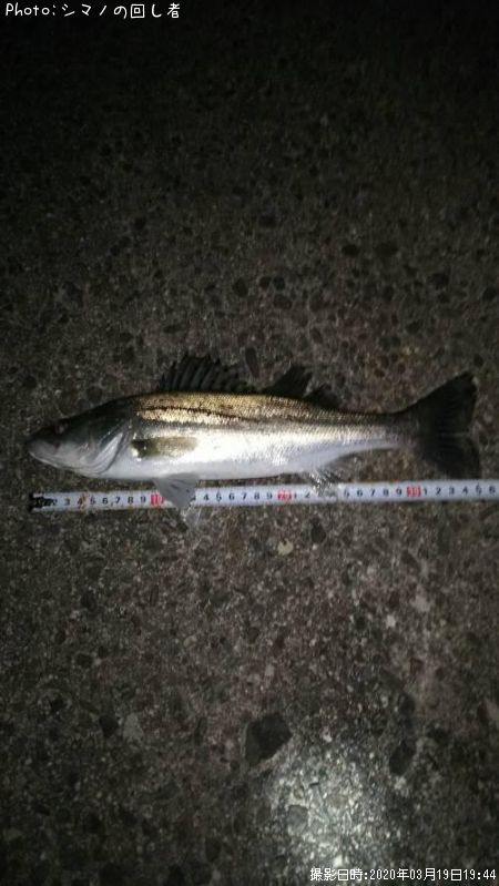 �����Х�