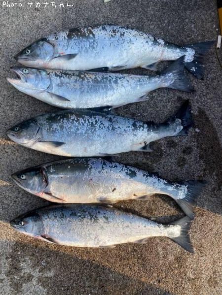 ������ޥ�