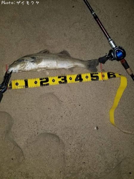 �����Х�