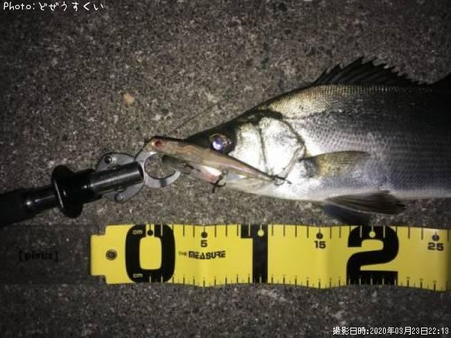 �����Х��ʥҥ饻������