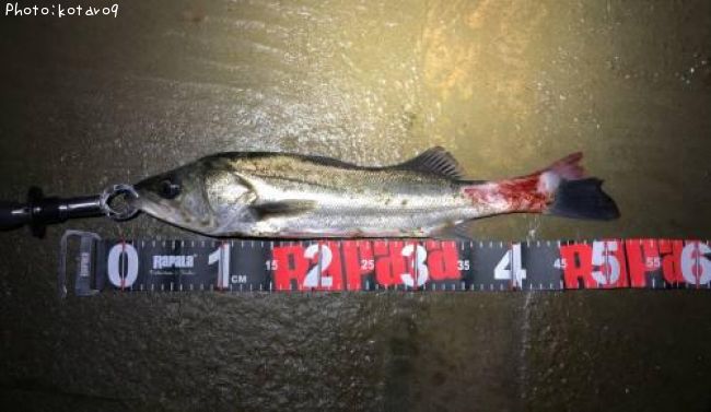 �����Х�