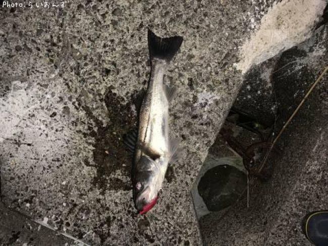 �����Х�