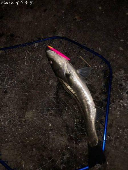 �����Х�