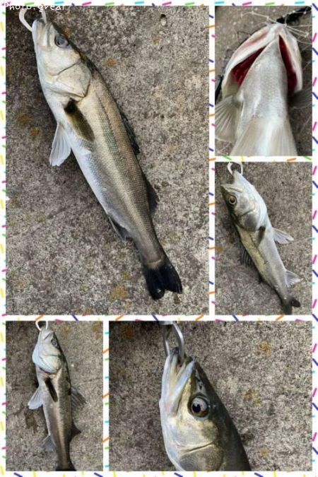 �����Х�