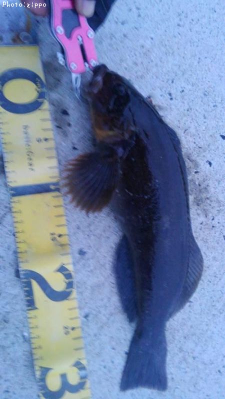 �����ʥ�