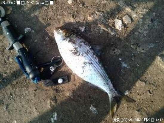 ���Υ���