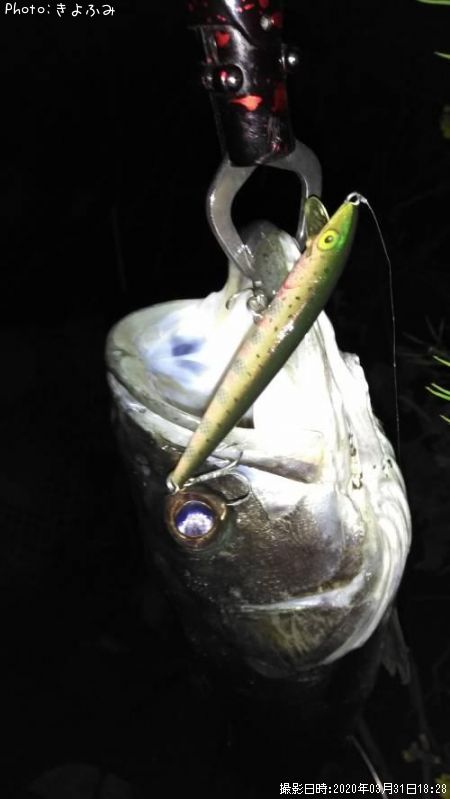 �����Х�