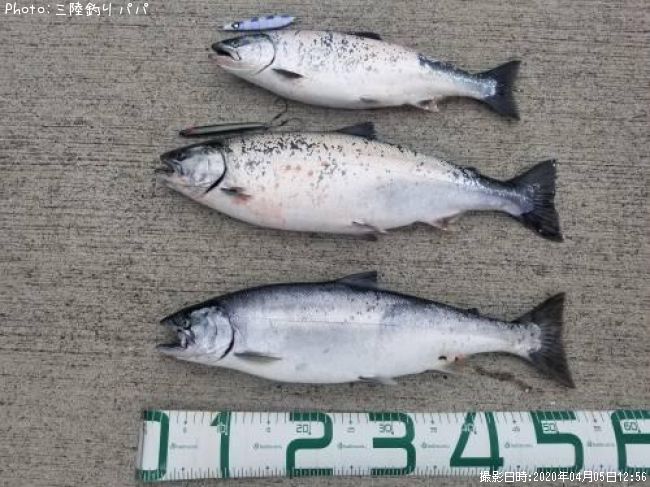 ������ޥ�