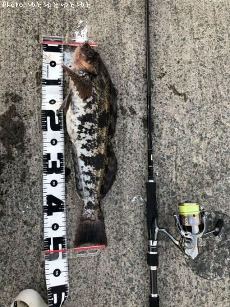 �����ʥ�