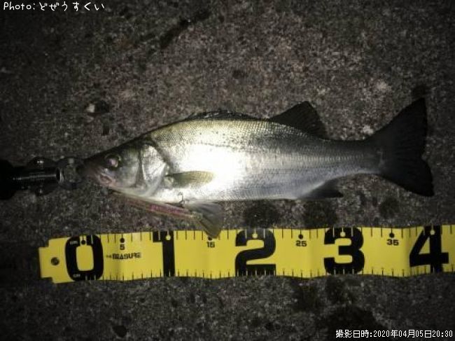 �����Х��ʥҥ饻������