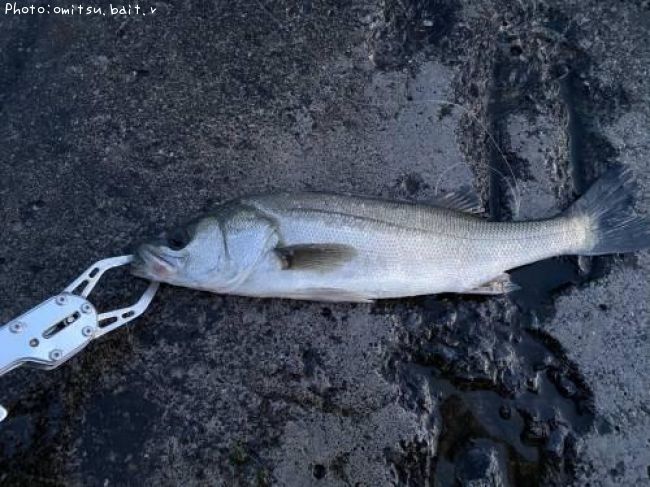 �����Х�