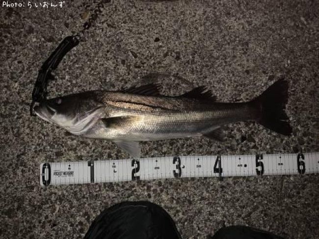 �����Х�