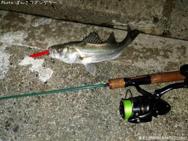 �����Х�