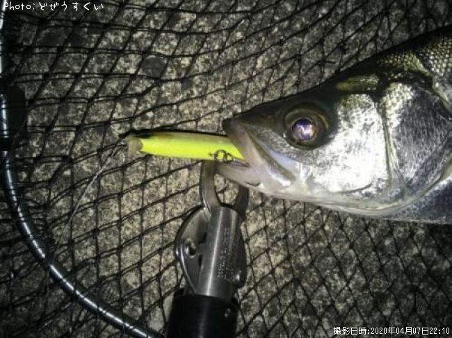 �����Х��ʥҥ饻������