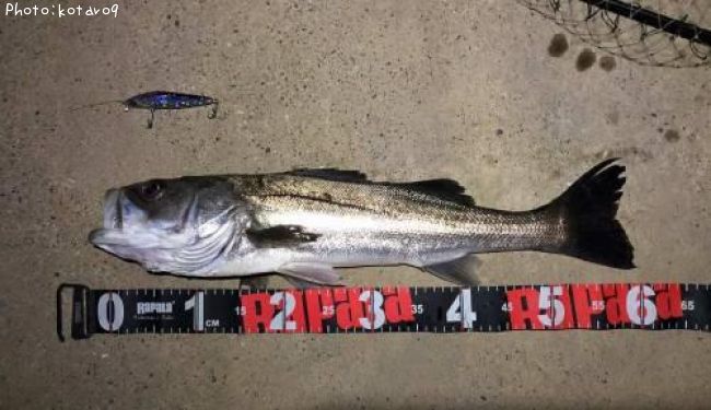 �����Х�