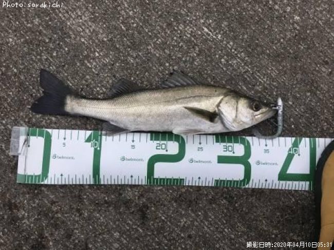 �����Х�