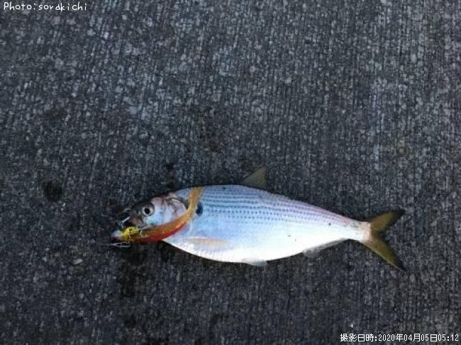 ���Υ���