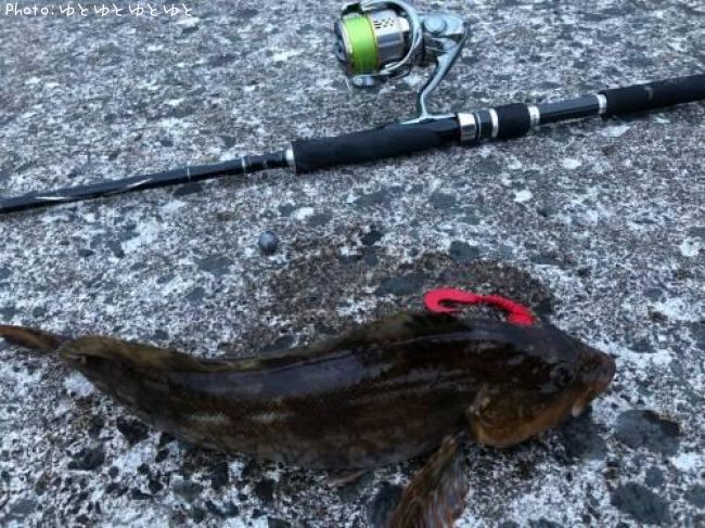 �����ʥ�