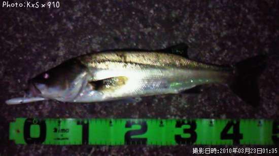 �����Х�