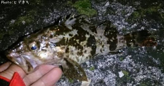 �����Υ���Х�