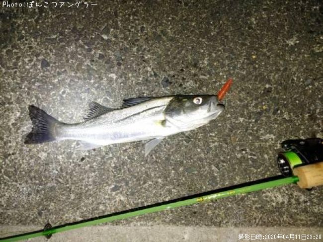 �����Х�