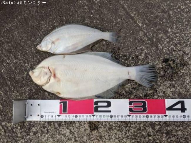 �ޥ����쥤