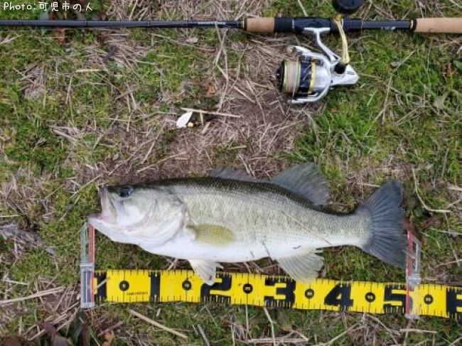 �֥�å��Х�