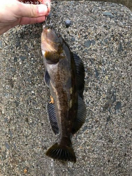 �����ʥ�