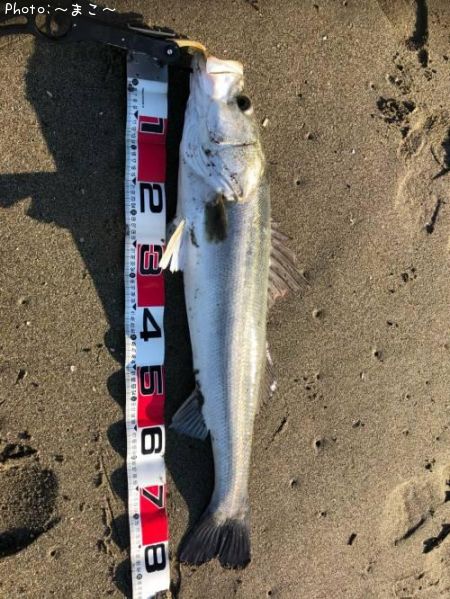 �����ե����Х�