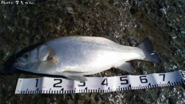 �ҥ饹����