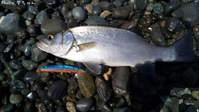 �ҥ饹����