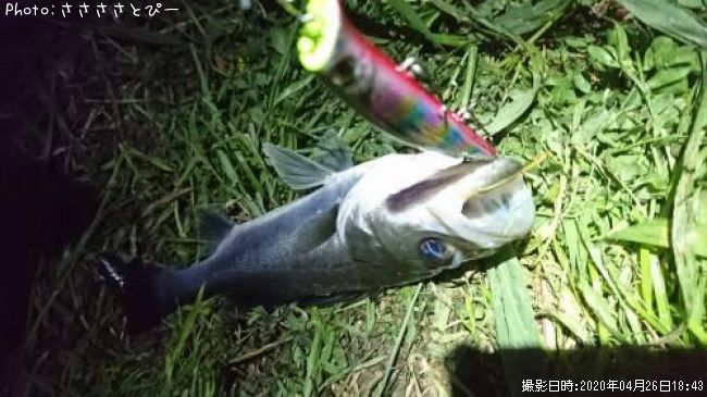 �����Х�