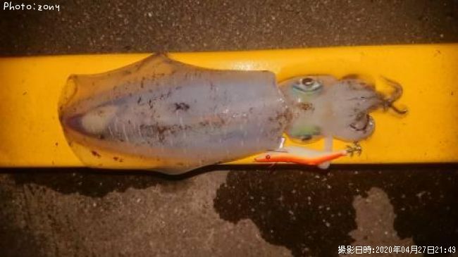 �����ꥤ��