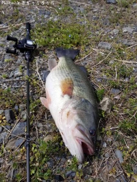 �֥�å��Х�