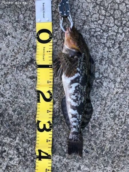 �����ʥ�