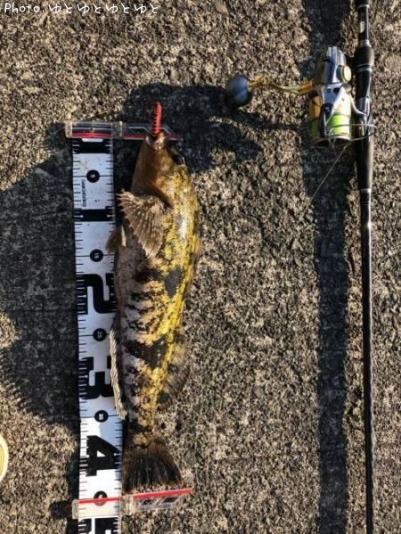 �����ʥ�