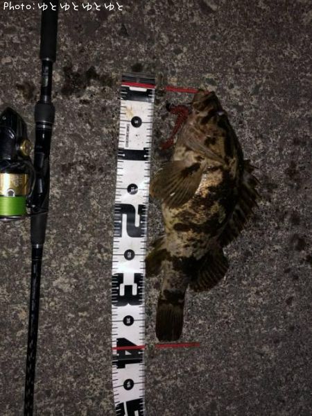 �����Υ���Х�